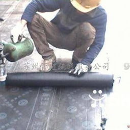 蘇州房屋防水補(bǔ)漏與漏水維修工程專業(yè)指南