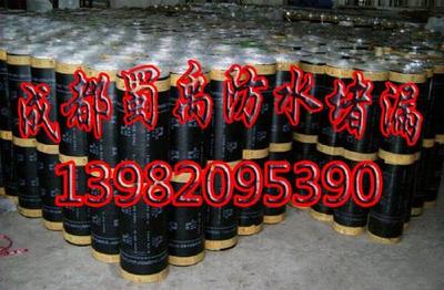 成都防水堵漏服務(wù)指南 解決漏水困擾的專業(yè)選擇